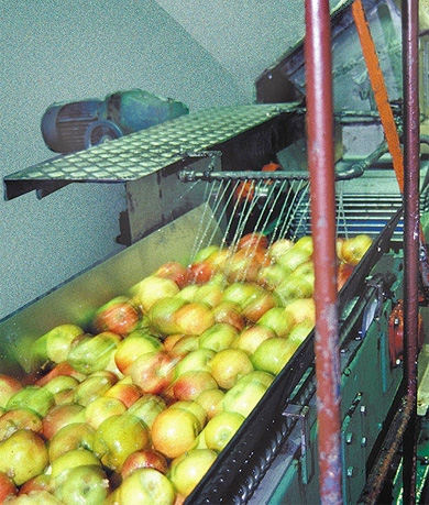 Apfel werden zu Most