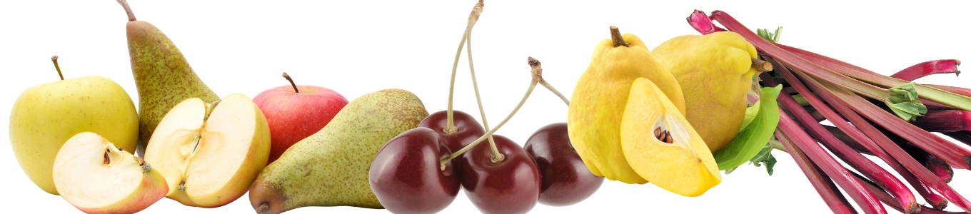 Geschichte